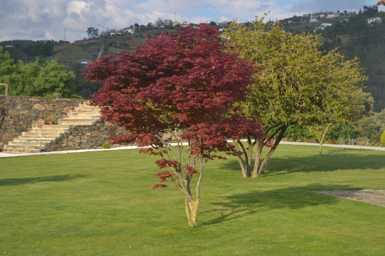 Quinta Da Portelada Peso da Régua المظهر الخارجي الصورة