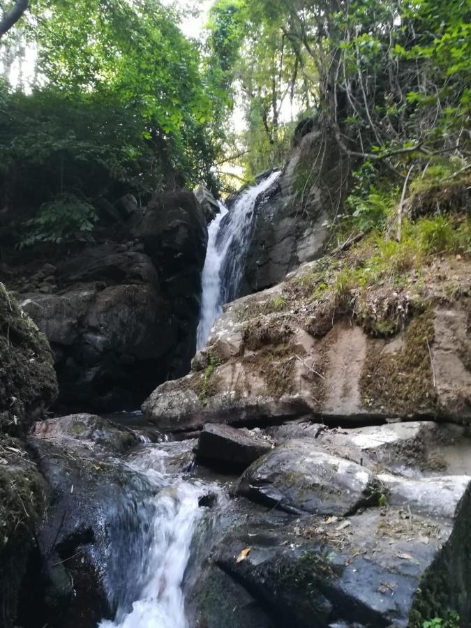 Quinta Da Portelada Peso da Régua المظهر الخارجي الصورة