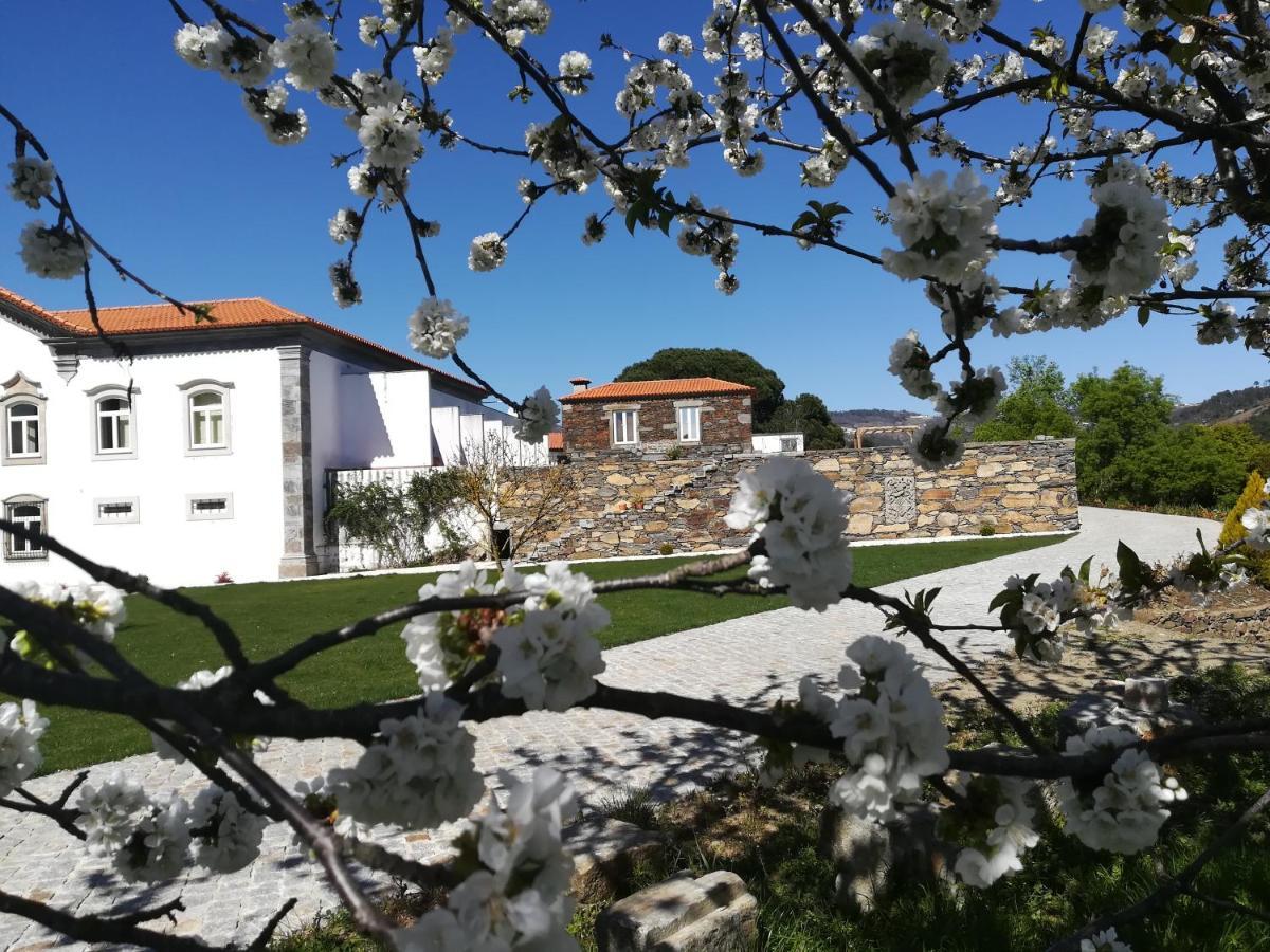 Quinta Da Portelada Peso da Régua المظهر الخارجي الصورة