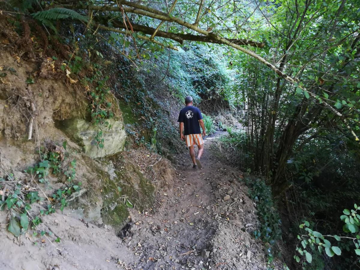Quinta Da Portelada Peso da Régua المظهر الخارجي الصورة