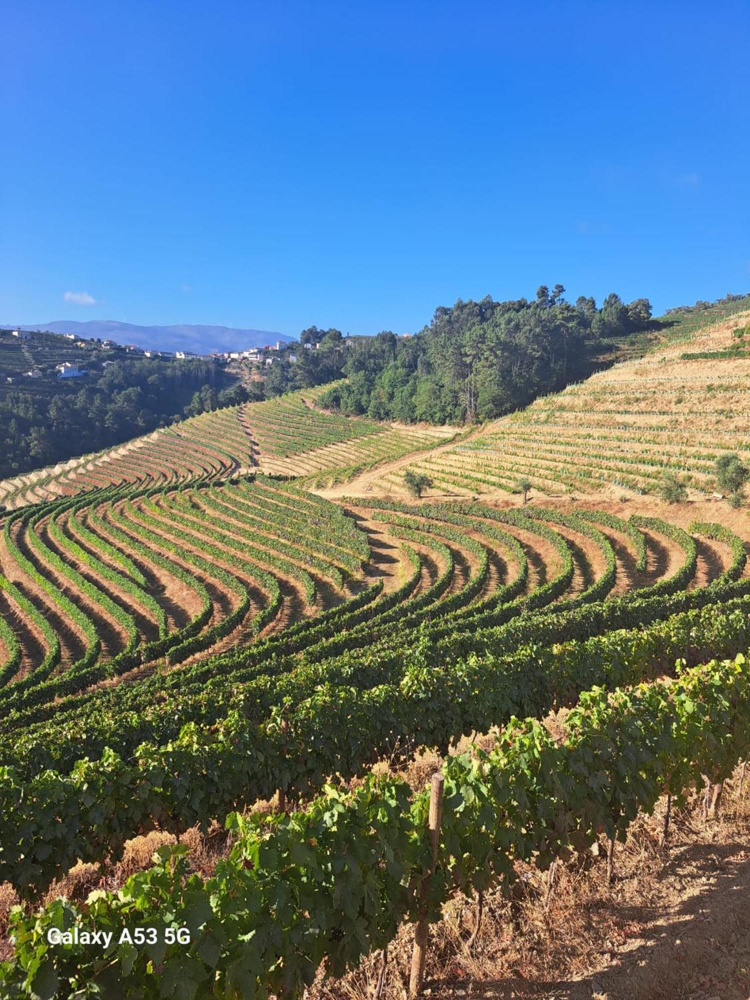 Quinta Da Portelada Peso da Régua المظهر الخارجي الصورة