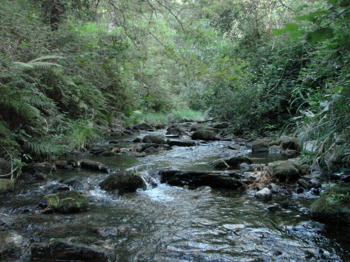 Quinta Da Portelada Peso da Régua المظهر الخارجي الصورة
