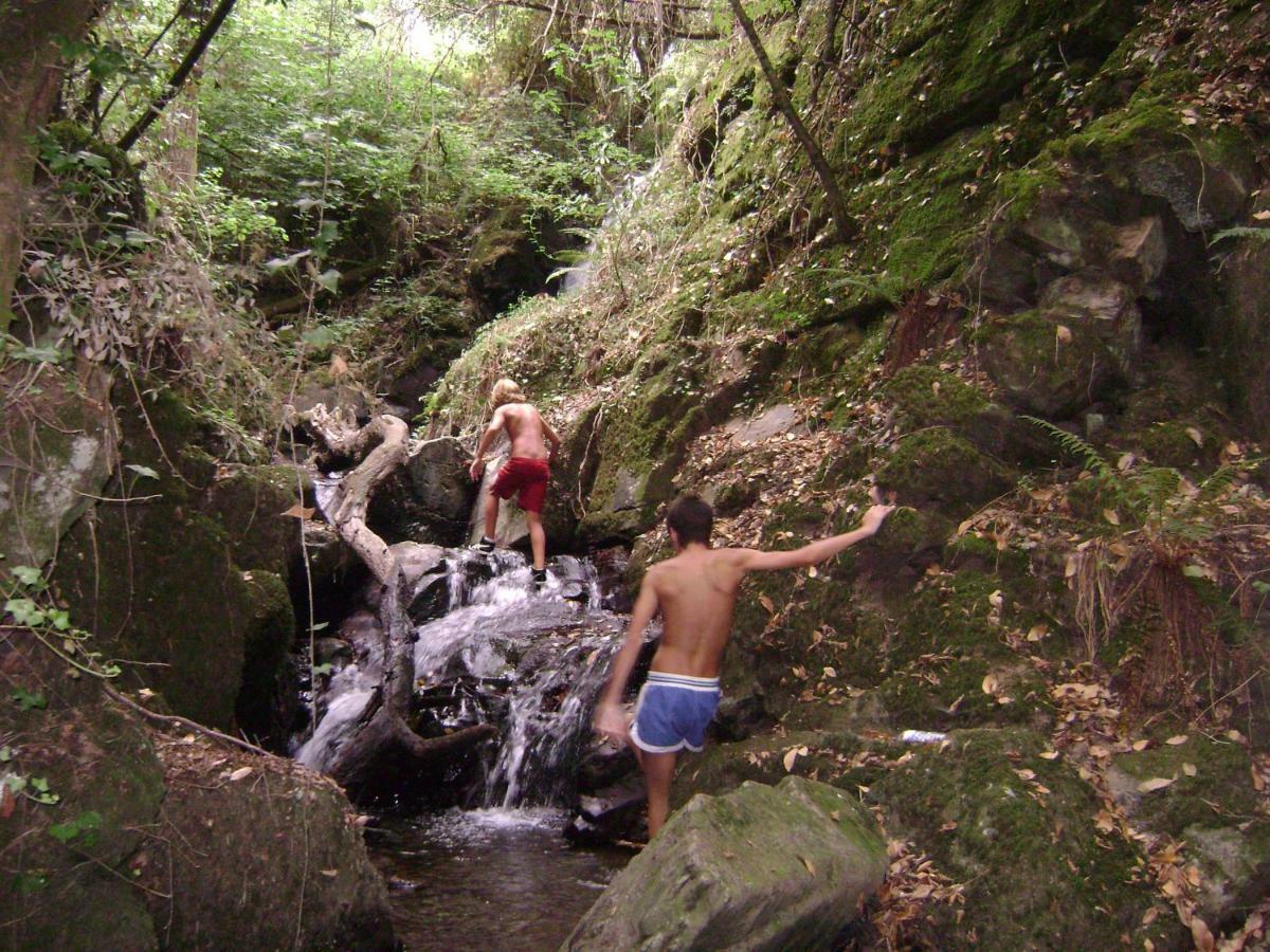 Quinta Da Portelada Peso da Régua المظهر الخارجي الصورة