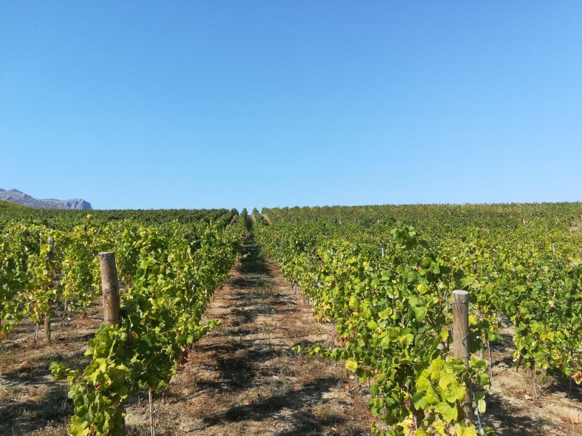 Quinta Da Portelada Peso da Régua المظهر الخارجي الصورة